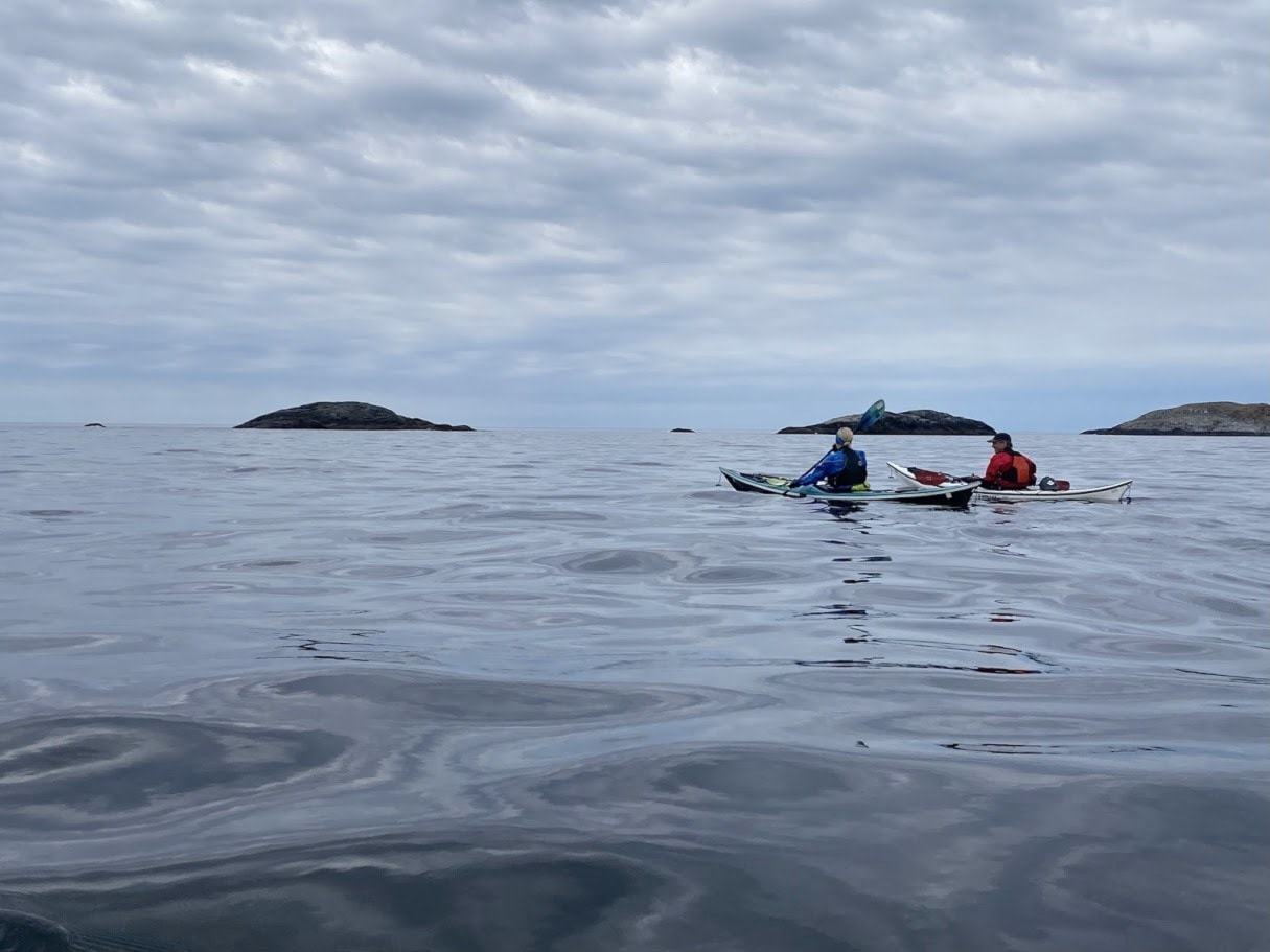 Image for Nyhetsbrev høst 2025.